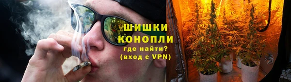 трава Белокуриха