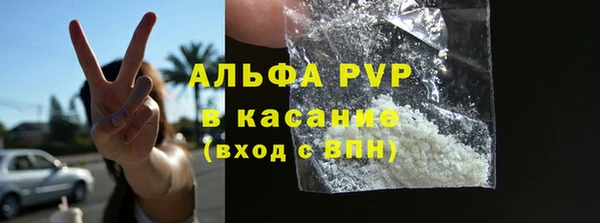 трава Белокуриха