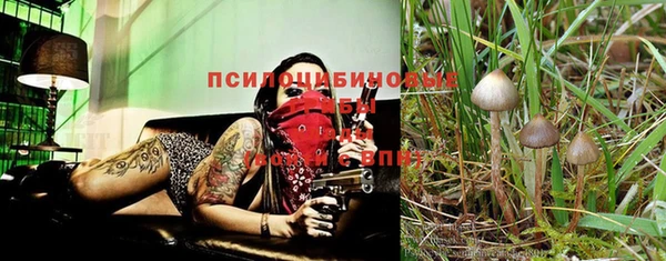 Альфа ПВП Белоозёрский