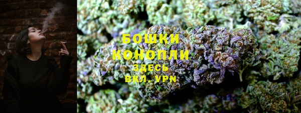 трава Белокуриха