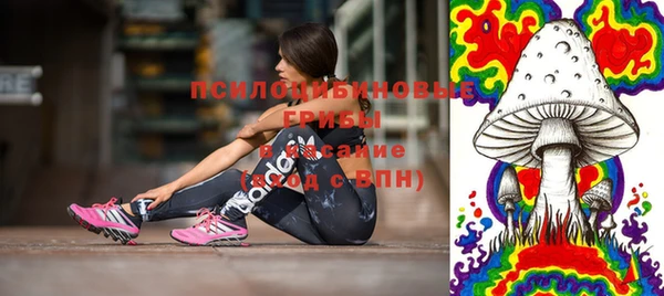 трава Белокуриха