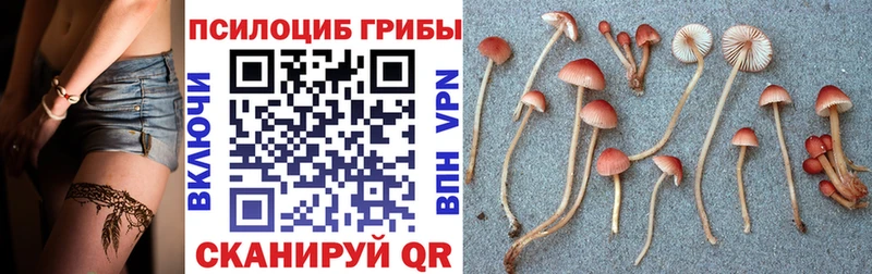 Псилоцибиновые грибы прущие грибы  дарк нет какой сайт  Ворсма 